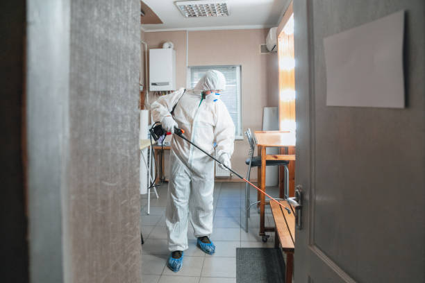 Mold Documentation for Insurance Claims in Harrison, MI